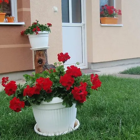 Snow Queen * Kopaonik