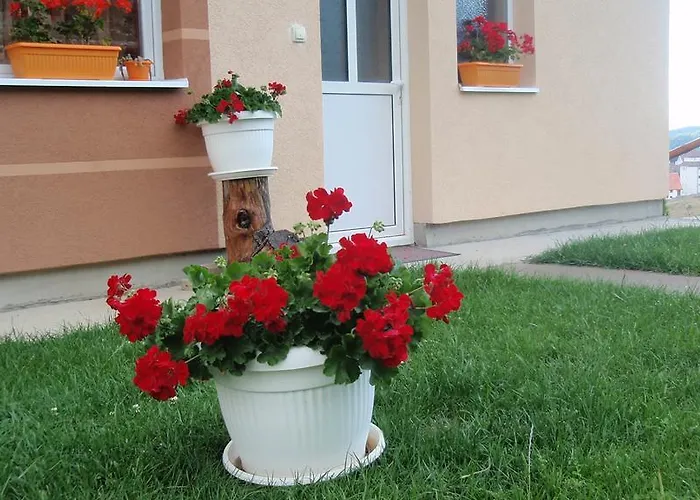 Snow Queen * Kopaonik